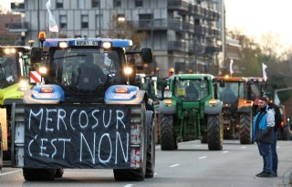 'Mercosur vraagt flinke herziening'