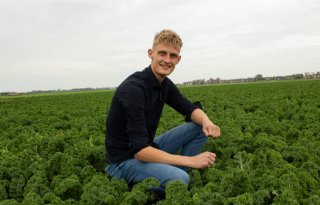 Veerkrachtige landbouw: balans tussen overheid, boer en markt