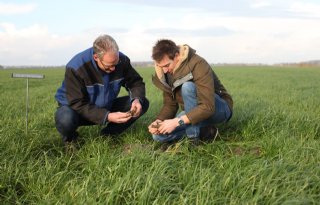 Bij regeneratieve landbouw draait alles om de symbiose