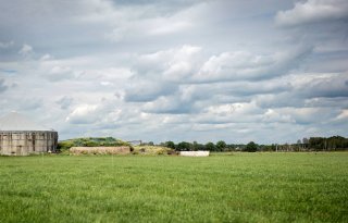 Waarom boeren in De Peel botsen met beleidsmakers