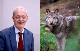 Rummenie stuurt landelijk wolvenplan naar de Kamer