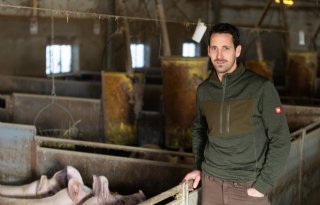 ‘Onze varkens waren echt dol op de levende meelwormen’