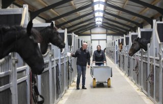 Gelderse ondernemers verruilen melkvee voor paarden