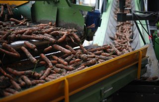 Peenmarkt profiteert van aantrekkende vraag en iets minder aanbod