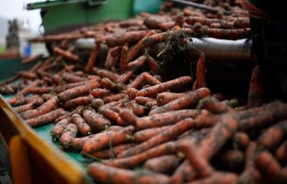 Peenmarkt kan impuls goed gebruiken