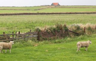 Boeren+tekenen+voor+oprichting+eerste+zoetwaterco%C3%B6peratie+op+Texel