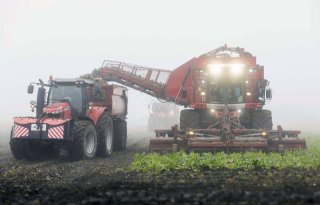 Bieten+rooien+in+Groningse+mist+gaat+als+een+tierelier