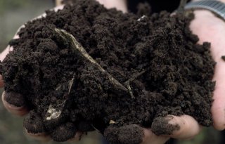 Compost verhoogt weerstand tegen ziekten en plagen