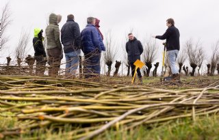 Urgenda start met tweede ronde van bomenactie