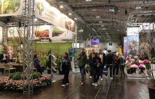 Duitse+vakbeurs+IPM+Essen+showt+diversiteit+van+sierteelt