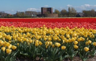 Teylingen trekt gunning Boterhuispolder in na klachten en juridisch advies