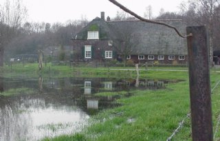 Overijssel stelt regeling voor boeren uit door stikstofuitspraken