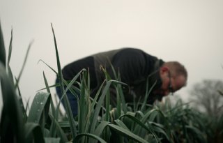 Nitraatuitspoeling naar het grondwater verminderen