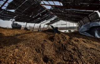 Oorlogsschade Oekraïense landbouw loopt in de tientallen miljarden