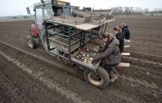 'Als alles meezit, kunnen we hier eind mei vroege aardappelen rooien'