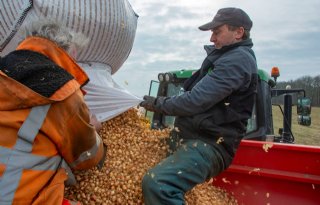 Hoog perceel zandgrond net droog genoeg voor eerste plantuien