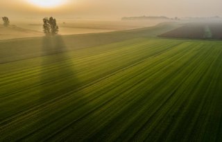 Boeren nemen voortouw in Baarlingerpolder