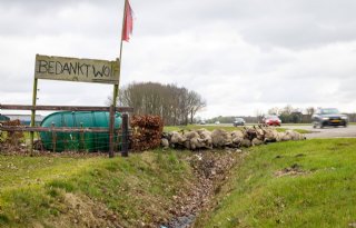 Boer verliest weer 32 schapen: ‘Een valse hond mag je wel laten inslapen’