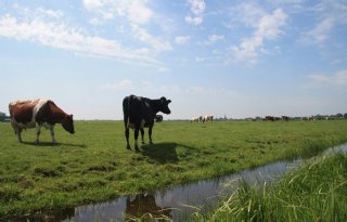 Zuid-Holland verliest 4073 hectare EHS