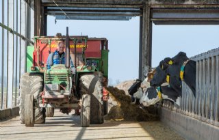 Melkveehouder verlaagt uitstoot met 17 procent door voerspoor