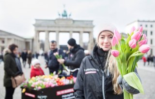 Ook Berlijn krijgt een eigen Tulpendag