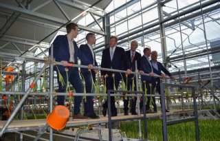 Koning bekijkt innovaties in tuinbouwsector