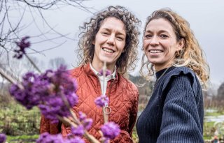 'Het beste is om het bloemenplatform Wilderful organisch te laten groeien'