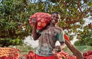 'Sterke bevolkingsgroei in Afrika biedt volop kansen voor uienexport'