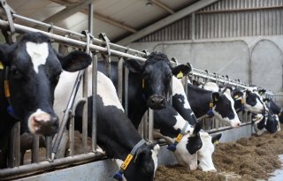 Diamond Genetics wil internationaal groeien na financiële impuls