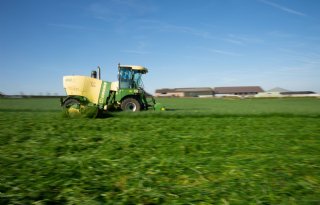 'Veel boeren weten het voersaldo niet, daar zit rendement'