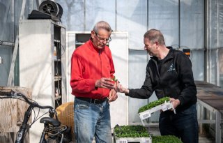 Kleine leverancier verzorgt breed assortiment thuiskweker