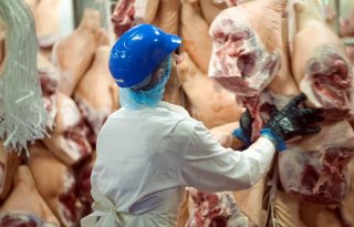 Vlaamse varkenshouders op termijnmarkt