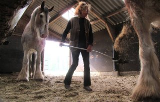 Stro ondanks hoge prijs nog steeds populair