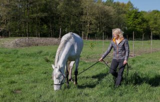 'Groenblauw paardenerf biedt meerwaarde'