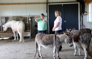 Therapie op de boerderij: 'Je komt hier niet weg met de gewenste antwoorden'