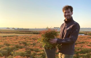 'Inwoners mogen trots zijn op onze boomkwekerijsector in Horst aan de Maas'