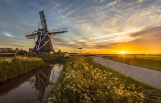 Subsidieregeling Fries cultuurlandschap wel voor boeren, niet voor boerengrond