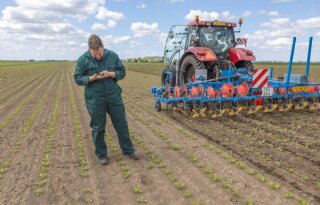 Maatwerk in onkruidbestrijding met minder chemie