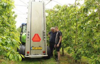 Kosten lopen op door suzuki-fruitvlieg
