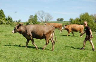 Natuurlijk Felix: boeren met hart voor natuur en toekomst