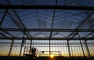 Innovatie in glastuinbouw begint bij nieuwe standaard voor de Nederlandse kas
