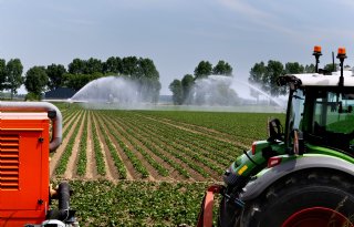 Neerslagtekort loopt op tot recordhoogte; vochtvoorziening houdt telers bezig