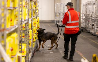 Waarschuwing voor criminele infiltratie in sierteeltsector
