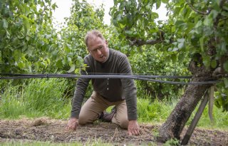 Fruitteler hoeft danzij bassin geen schietgebedjes meer te doen voor regen