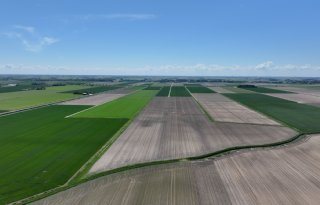 Boeren bezorgd over plan stroomkabel onder Groningse landbouwgrond