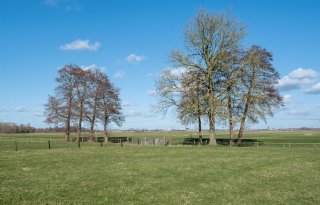 Lagere+CO2%2Duitstoot+door+peilbeheer+in+Groninger+ommeland