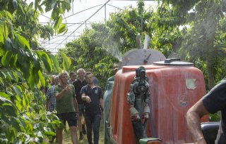 Voedingstof verbetert effectiviteit van insecticide