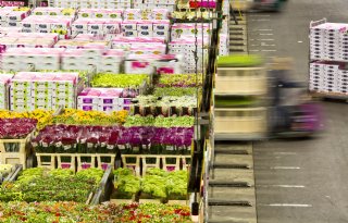 Data leveren sierteeltsector license to produce