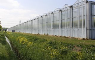 Waterkwaliteit glastuinbouwgebieden verbetert, maar nog niet genoeg
