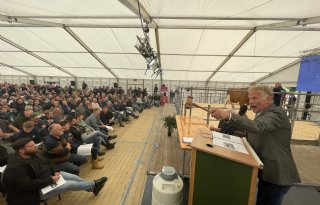 Volledige veestapel van de familie Dalenoord geveild